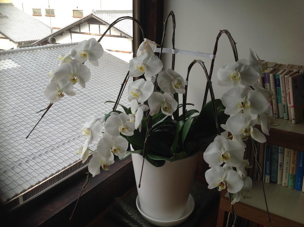 Hotel Ryoso Kawaguchi Hatsukaichi Zewnętrze zdjęcie